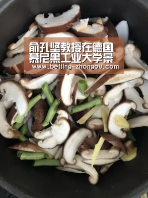 中欧体育网页版入口