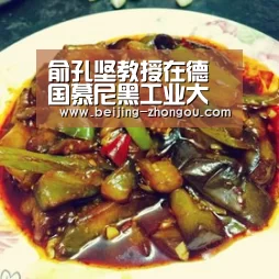 中欧体育网页版入口